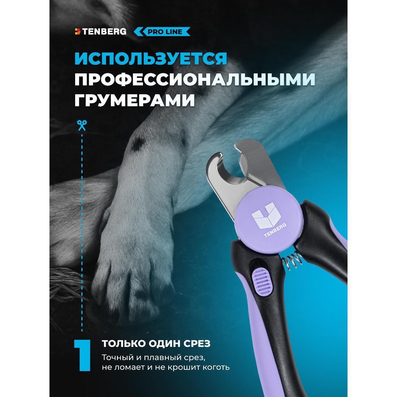 https://img.mvideo.ru/Big/8776fe58-53de-447f-983e-ff86207ac4d9.jpg