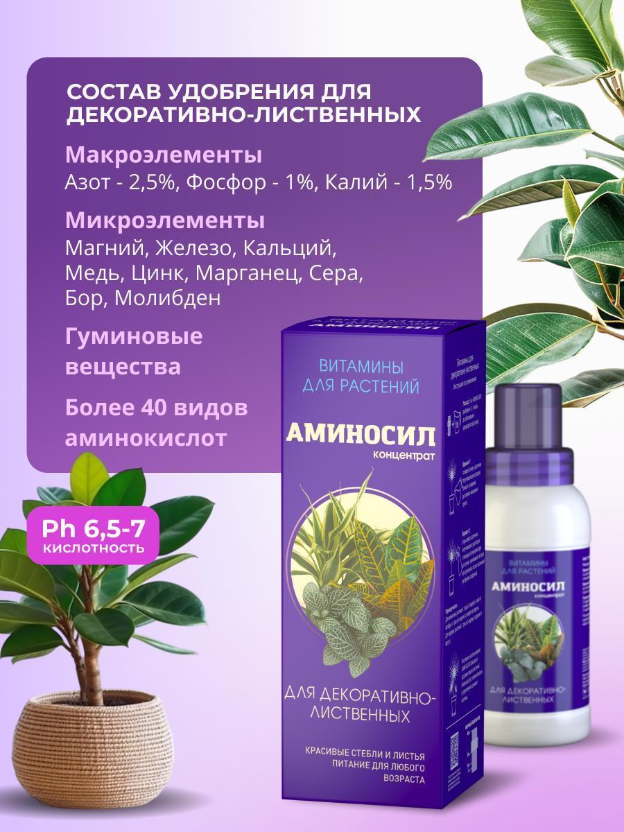 https://img.mvideo.ru/Big/894f3bd8-caa6-41e8-9edf-ef506dee751c.jpg