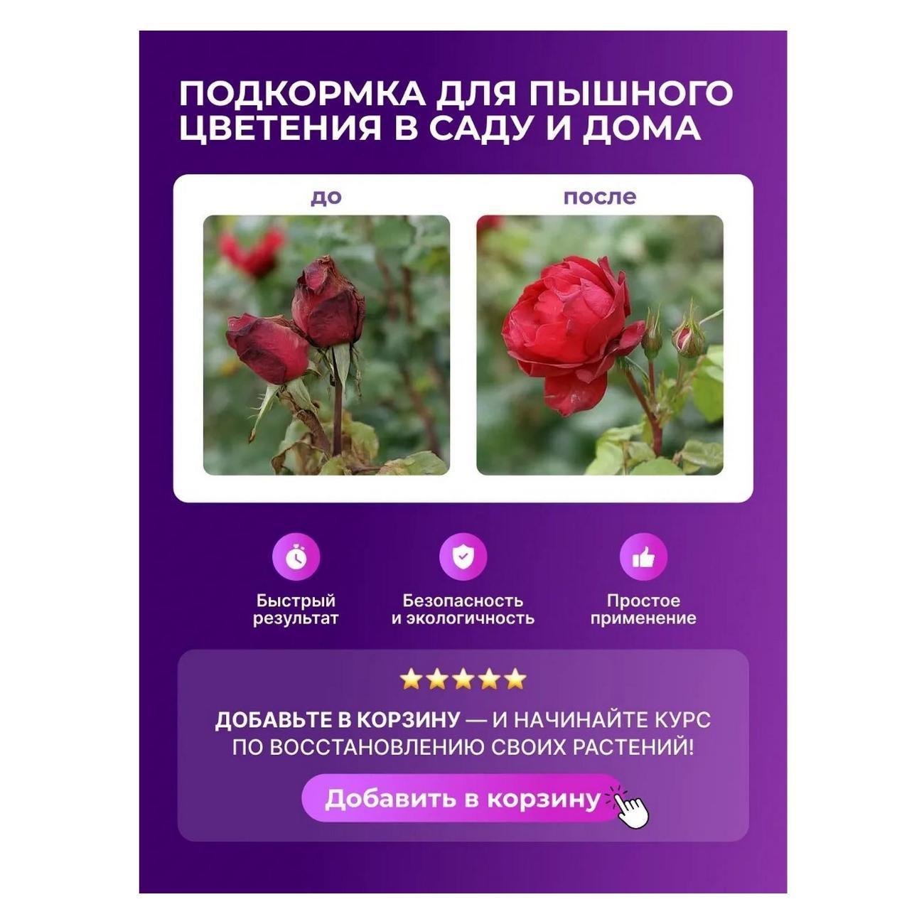 https://img.mvideo.ru/Big/8fcbe296-3d9b-4ea4-89b2-1f4b7c0ea84b.jpg