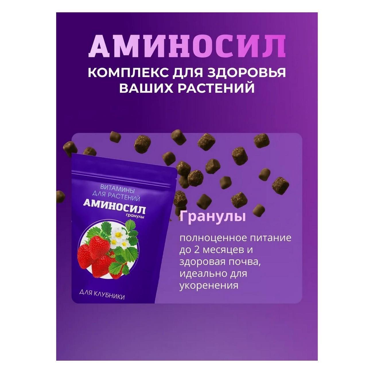 https://img.mvideo.ru/Big/9571d9c4-72a6-4096-9264-b0c9ffa39258.jpg