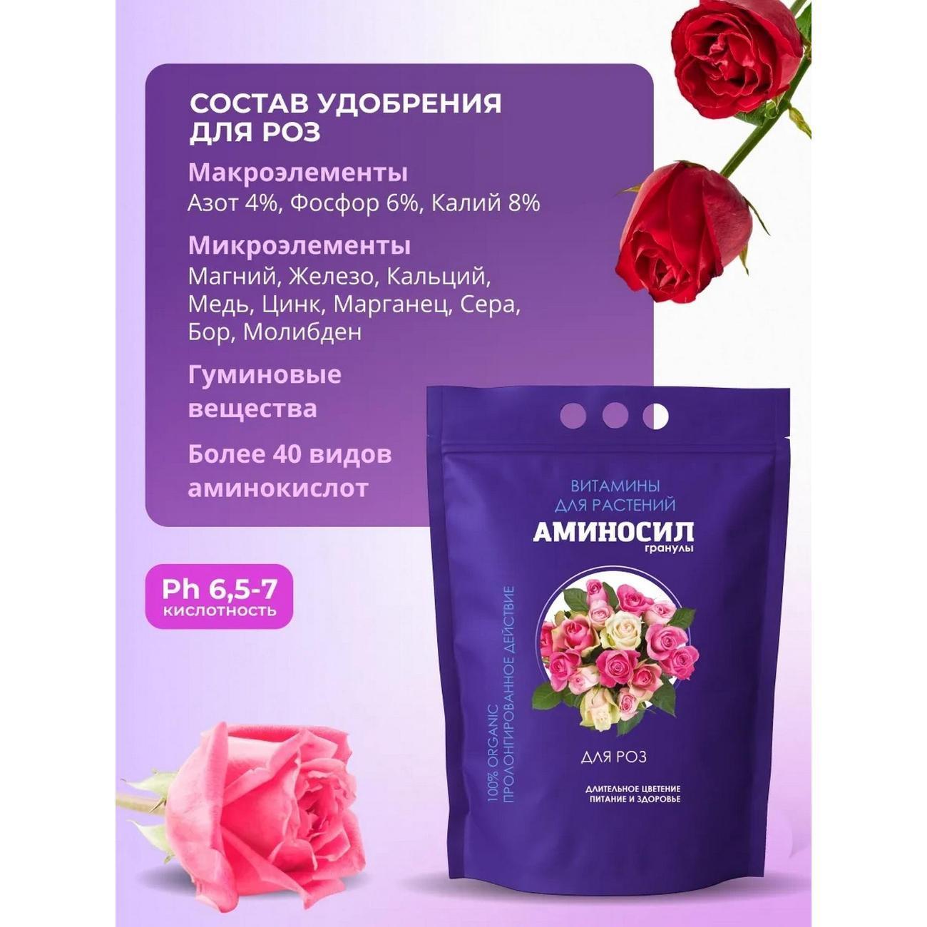 https://img.mvideo.ru/Big/99c0b27d-896e-4216-a061-13fe569cf984.jpg