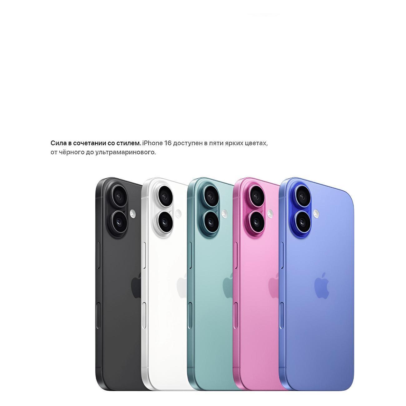 https://img.mvideo.ru/Big/9ee46665-5402-4d06-8688-7e5794b4b800.jpg