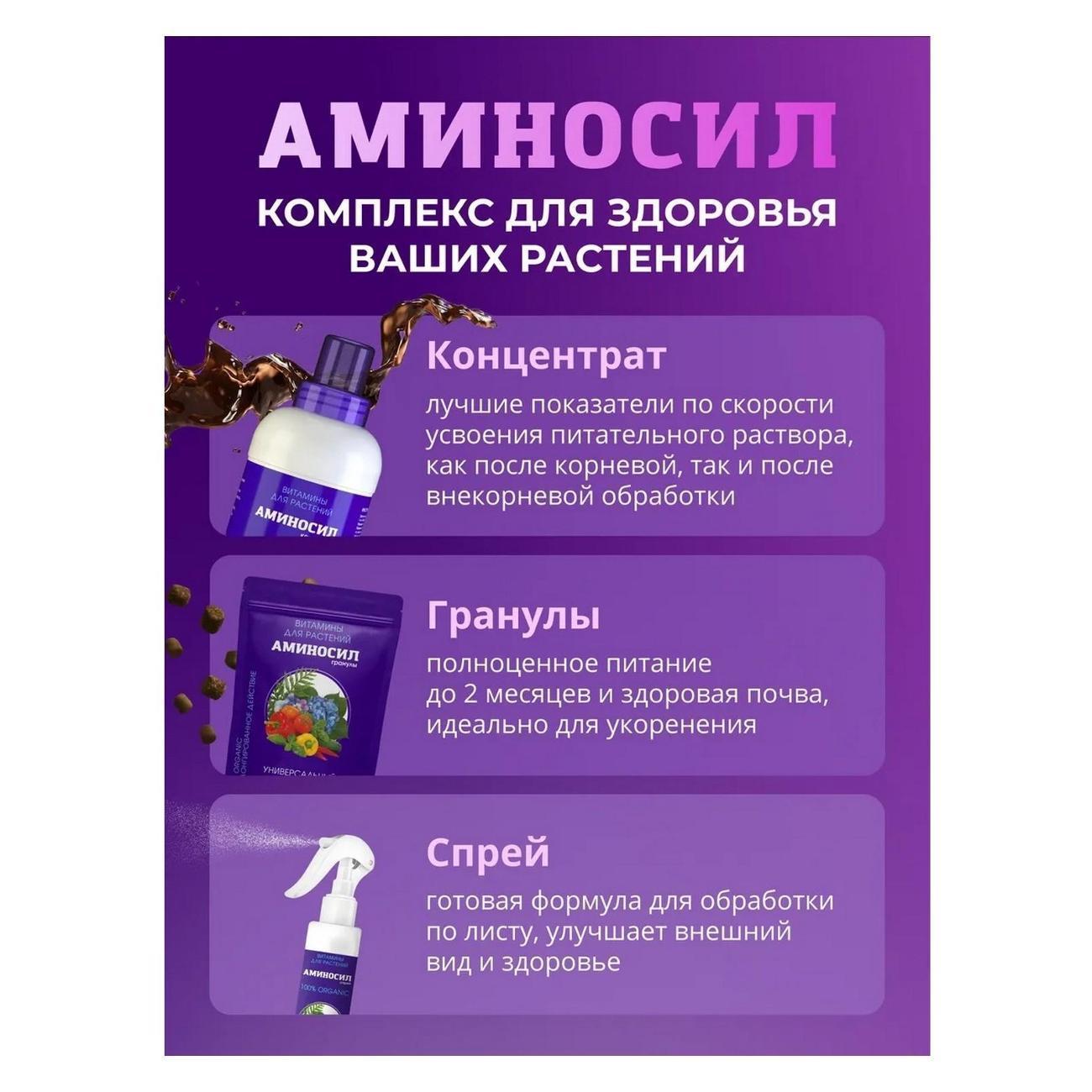 https://img.mvideo.ru/Big/a6763542-d4bf-4dde-954b-da7f79283be1.jpg