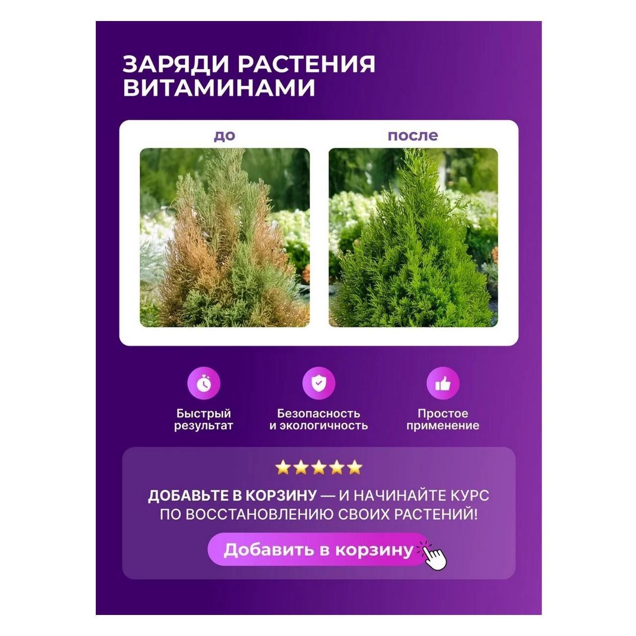 https://img.mvideo.ru/Big/a8397728-f262-48fc-a860-4da01575b114.jpg
