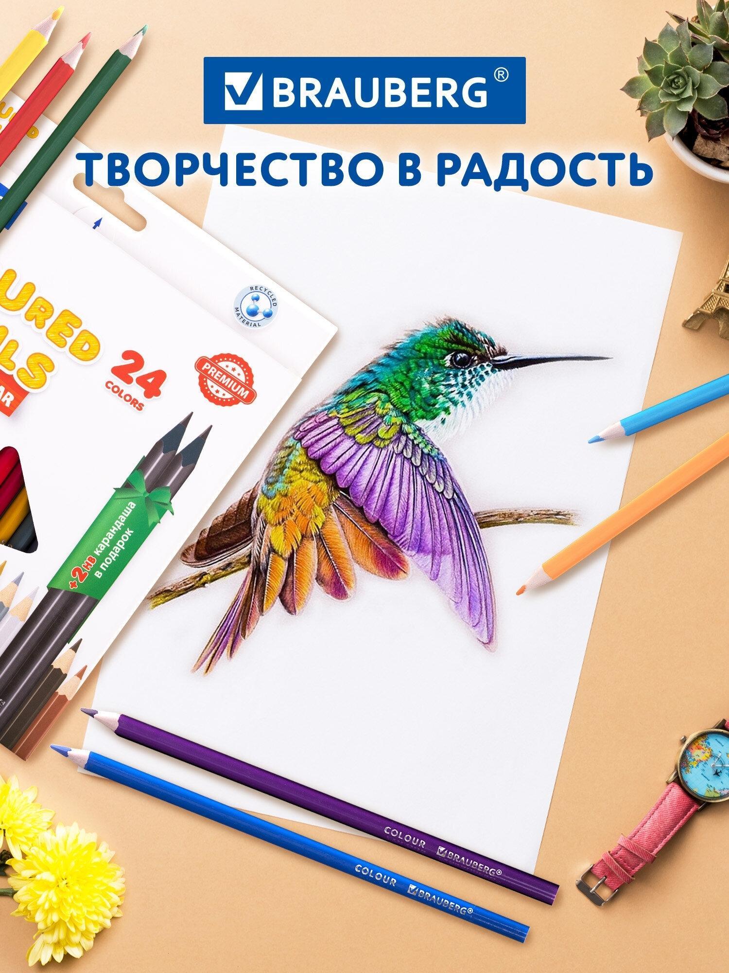 https://img.mvideo.ru/Big/ad021f7e-0ff4-418b-86c9-109aeea3c22d.jpg