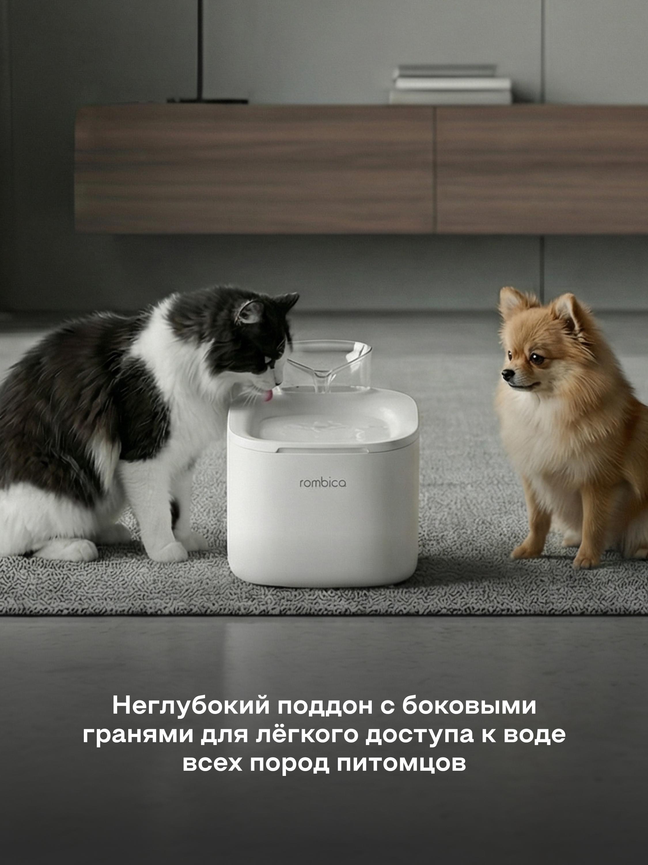 https://img.mvideo.ru/Big/b25b4246-ce81-4123-bc25-5149ac7361db.jpg
