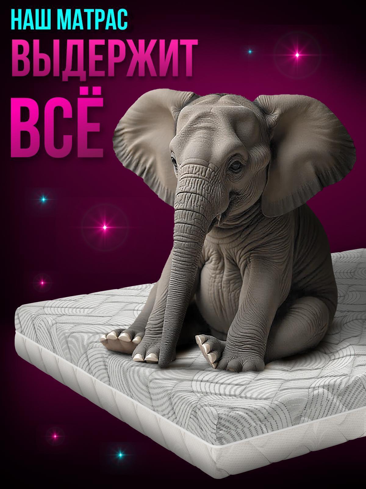 https://img.mvideo.ru/Big/b65c55e5-28a3-4f08-8364-8d52c24cc14e.jpg