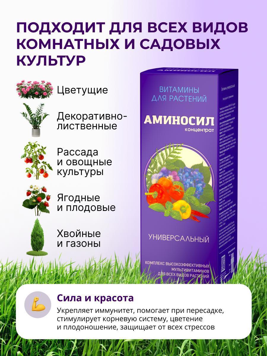 https://img.mvideo.ru/Big/b9c16d77-db14-4656-9b38-85aeae0c8316.jpg