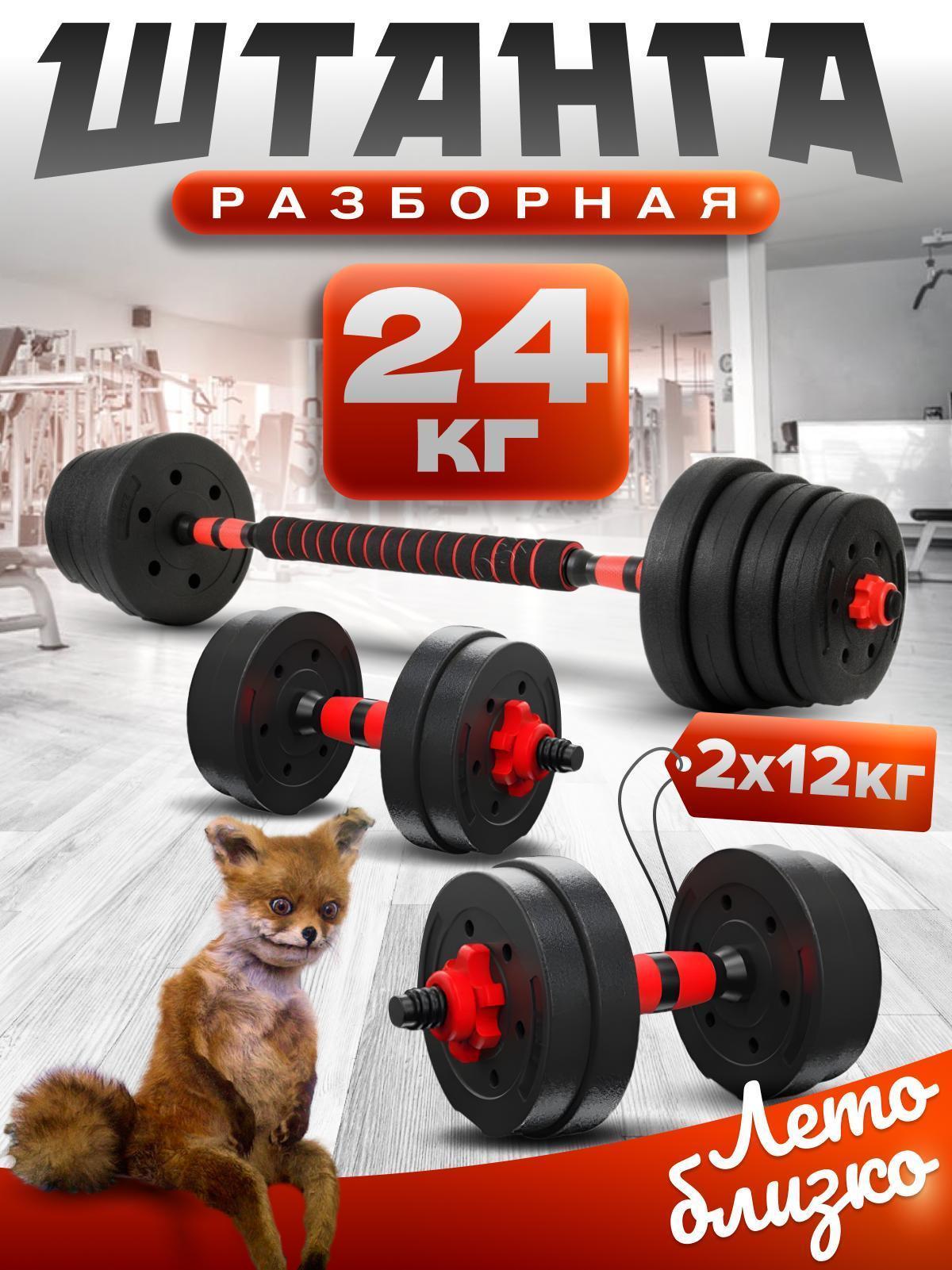 БлинДаГриф | Штанга БлинДаГриф Штанга 24кг