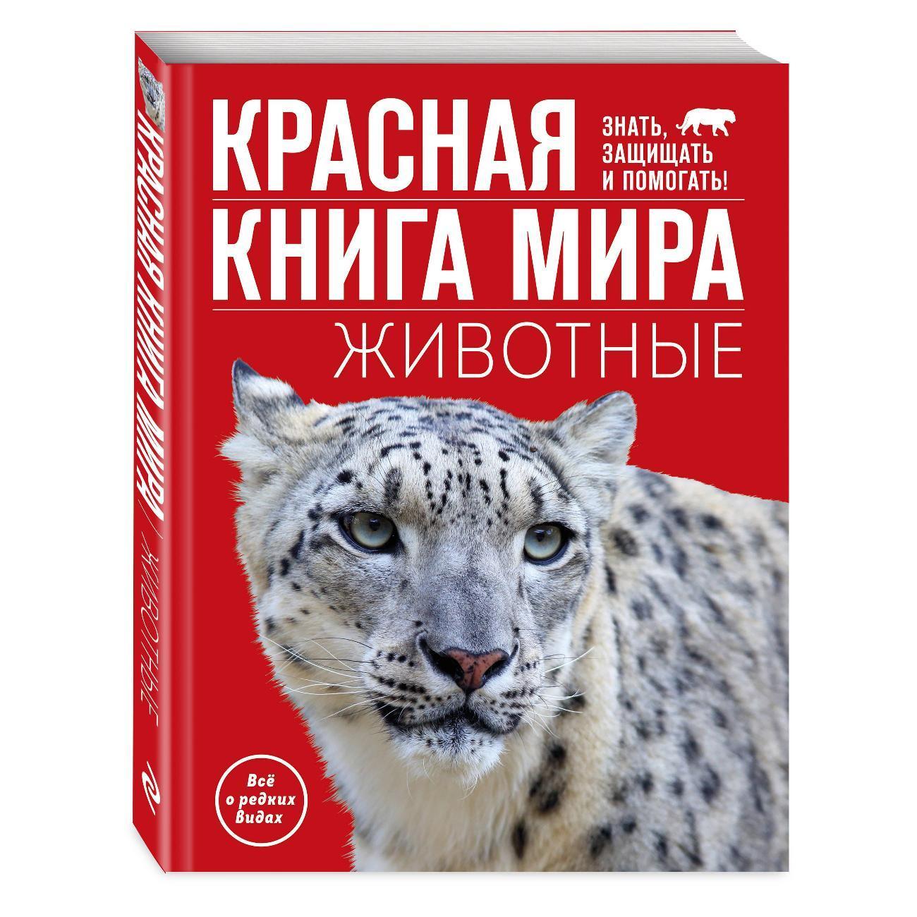 https://img.mvideo.ru/Big/c1fa5e91-fef9-4bf3-8887-388e8749929d.jpg