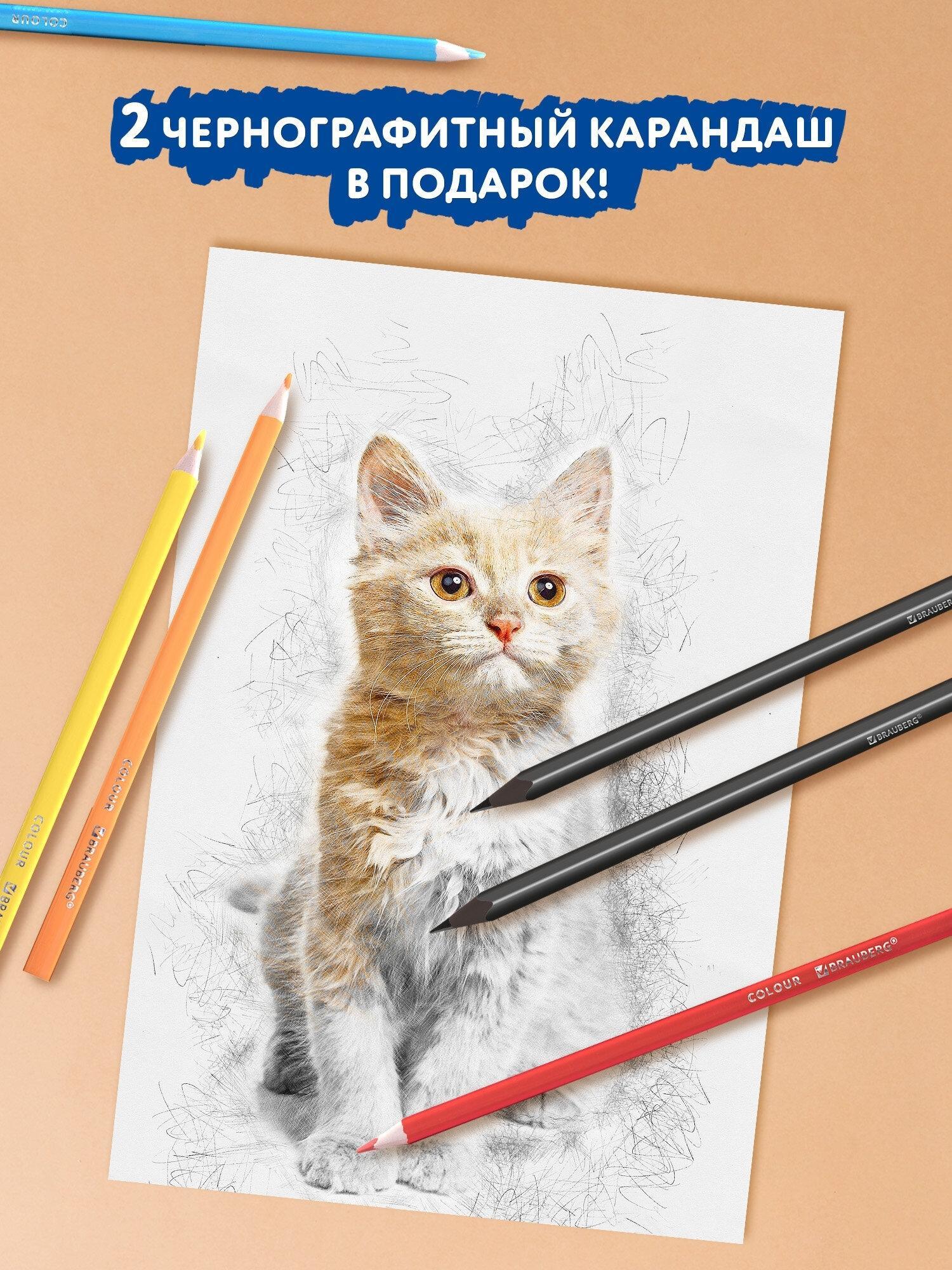 https://img.mvideo.ru/Big/c3db4acf-809b-4028-9d64-47473025d43e.jpg