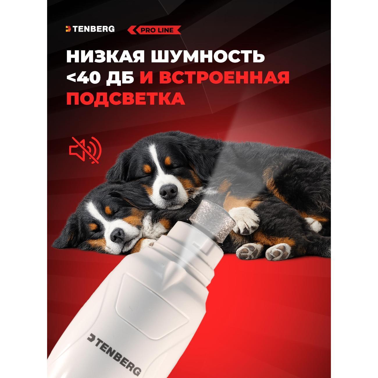 https://img.mvideo.ru/Big/c77b543f-dccc-43ff-a7b0-a4888986df72.jpg