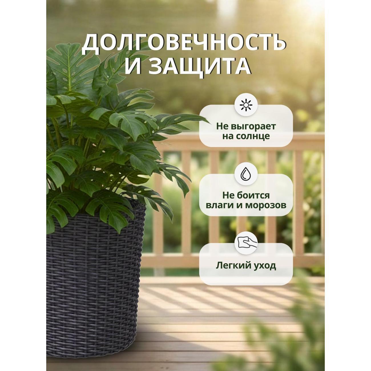 https://img.mvideo.ru/Big/c924bb4e-9955-4e98-a61e-1d1623cefa91.jpg