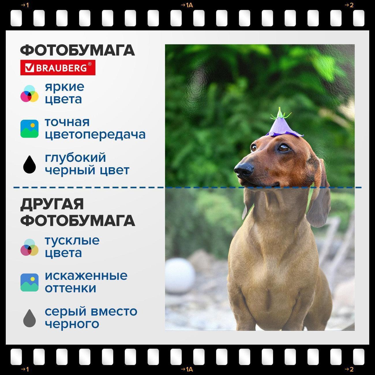 https://img.mvideo.ru/Big/c999c381-0c07-4e80-a4d8-f761102c05d6.jpg