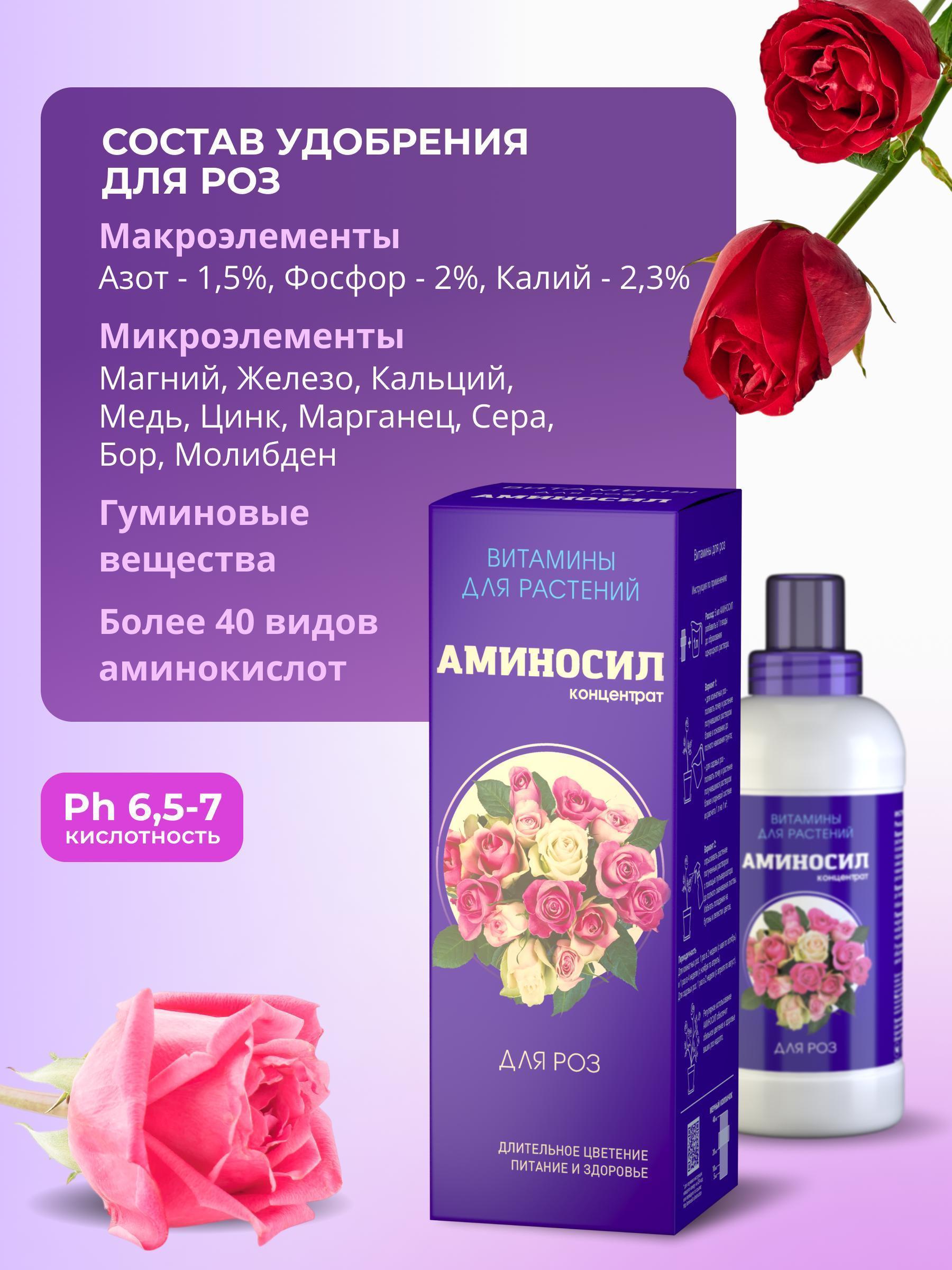 https://img.mvideo.ru/Big/cfc046a8-052d-4b51-a151-9e4cbb08f8a5.jpg