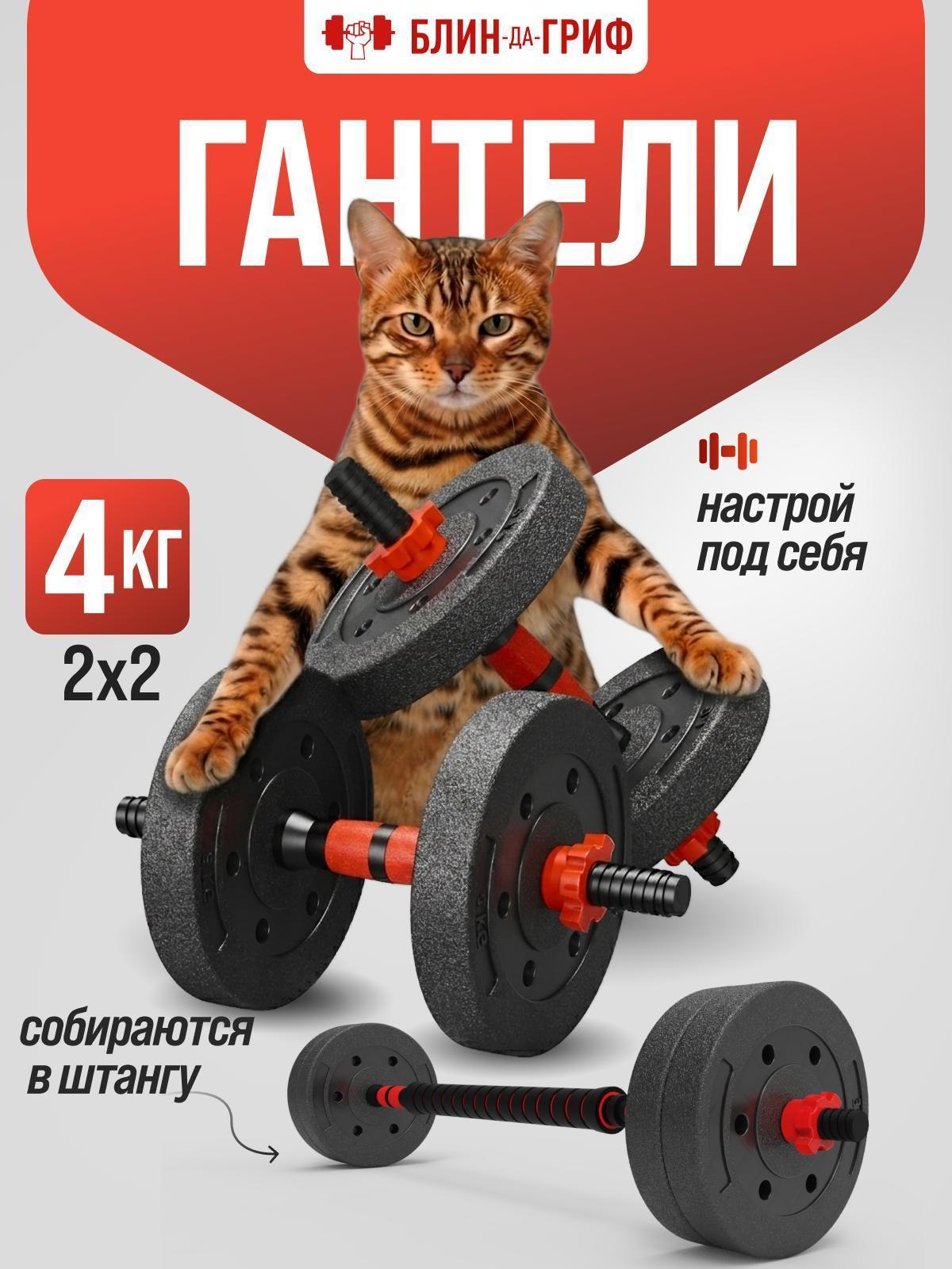 БлинДаГриф | Гантель БлинДаГриф Гантели разборные 2кг 2шт