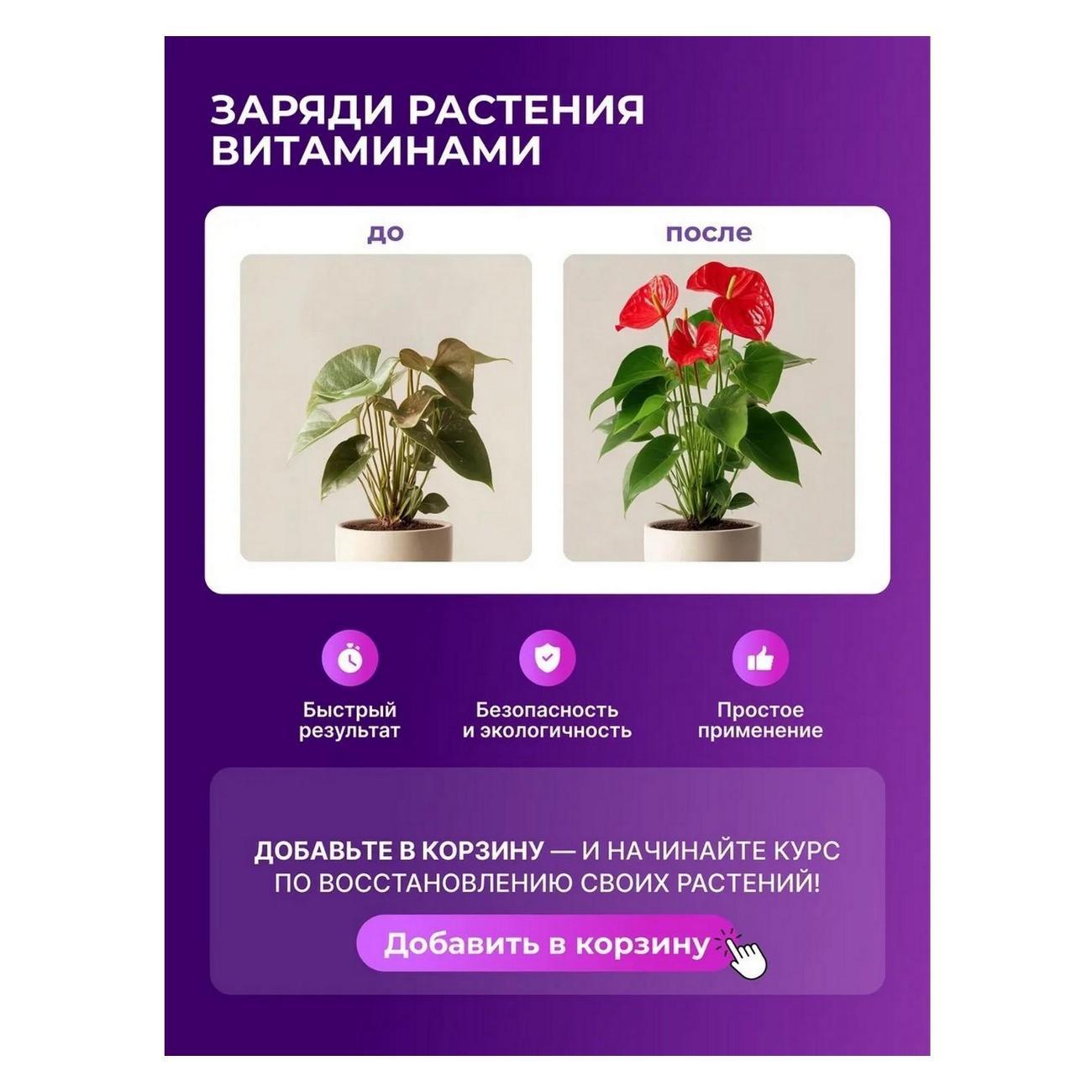 https://img.mvideo.ru/Big/d9399fb3-075e-4626-8d66-89fc8aa34b91.jpg