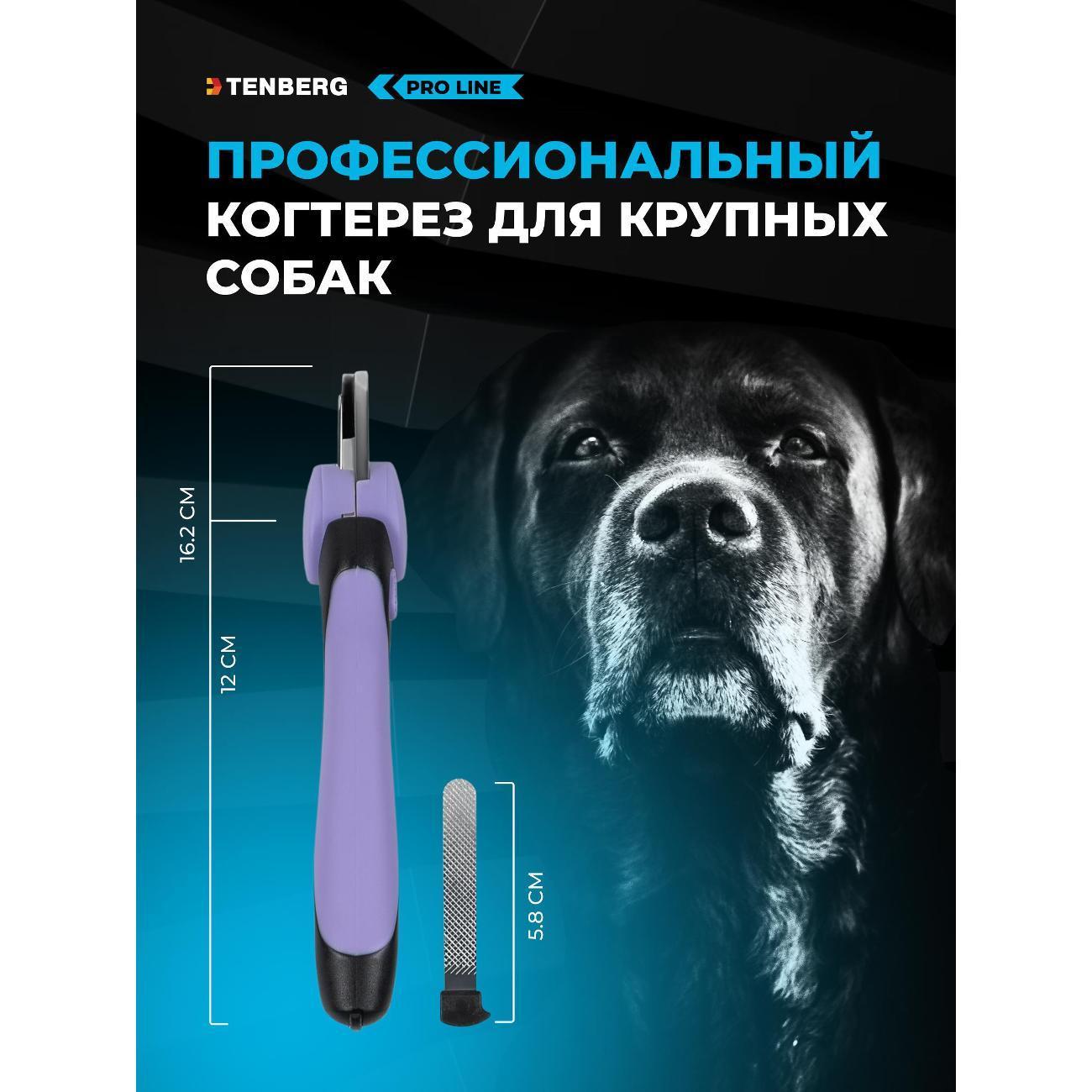 https://img.mvideo.ru/Big/dc37e3c2-6c5f-4b25-b472-73b6964dd19a.jpg