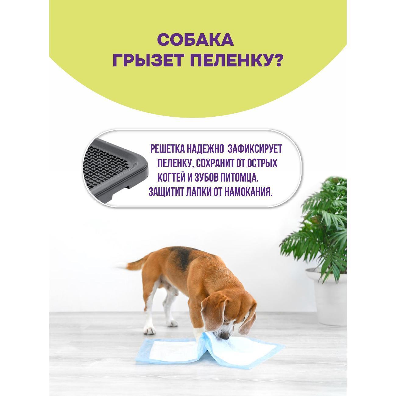 https://img.mvideo.ru/Big/dc8ca856-36b6-4f57-89a3-43f5f82c9ffd.jpg