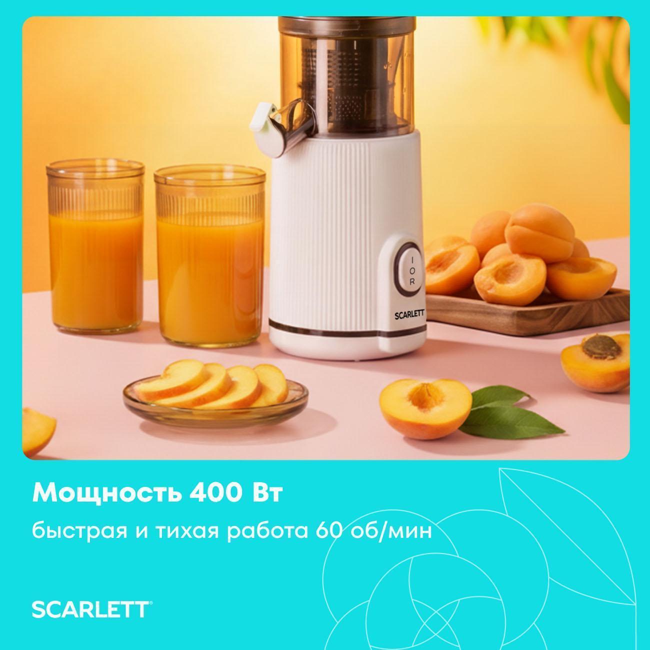 https://img.mvideo.ru/Big/dd33e0f1-fe90-4641-9498-fd2fbfaa5314.jpg