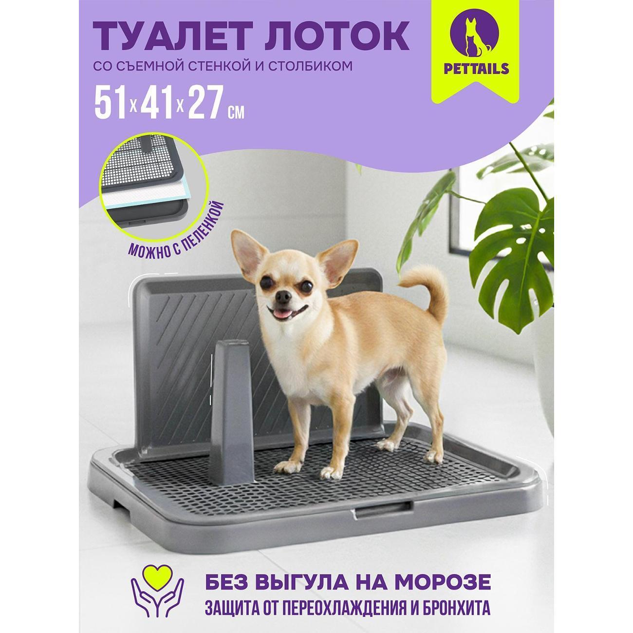 https://img.mvideo.ru/Big/ddf73a14-1f9d-4efe-9954-c96e8525cbe8.jpg