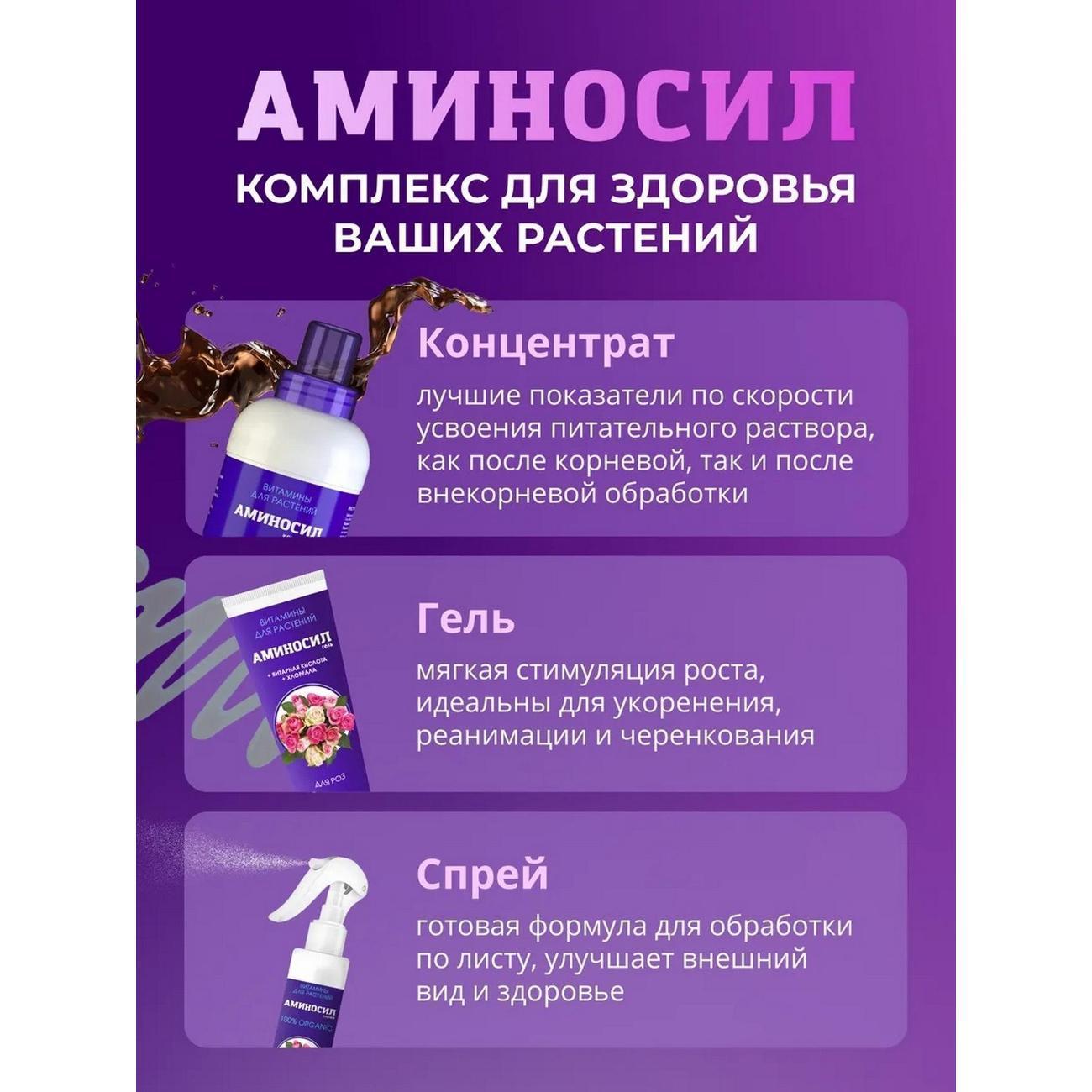 https://img.mvideo.ru/Big/e21b359e-2c6f-4936-bb31-cb536084bd81.jpg