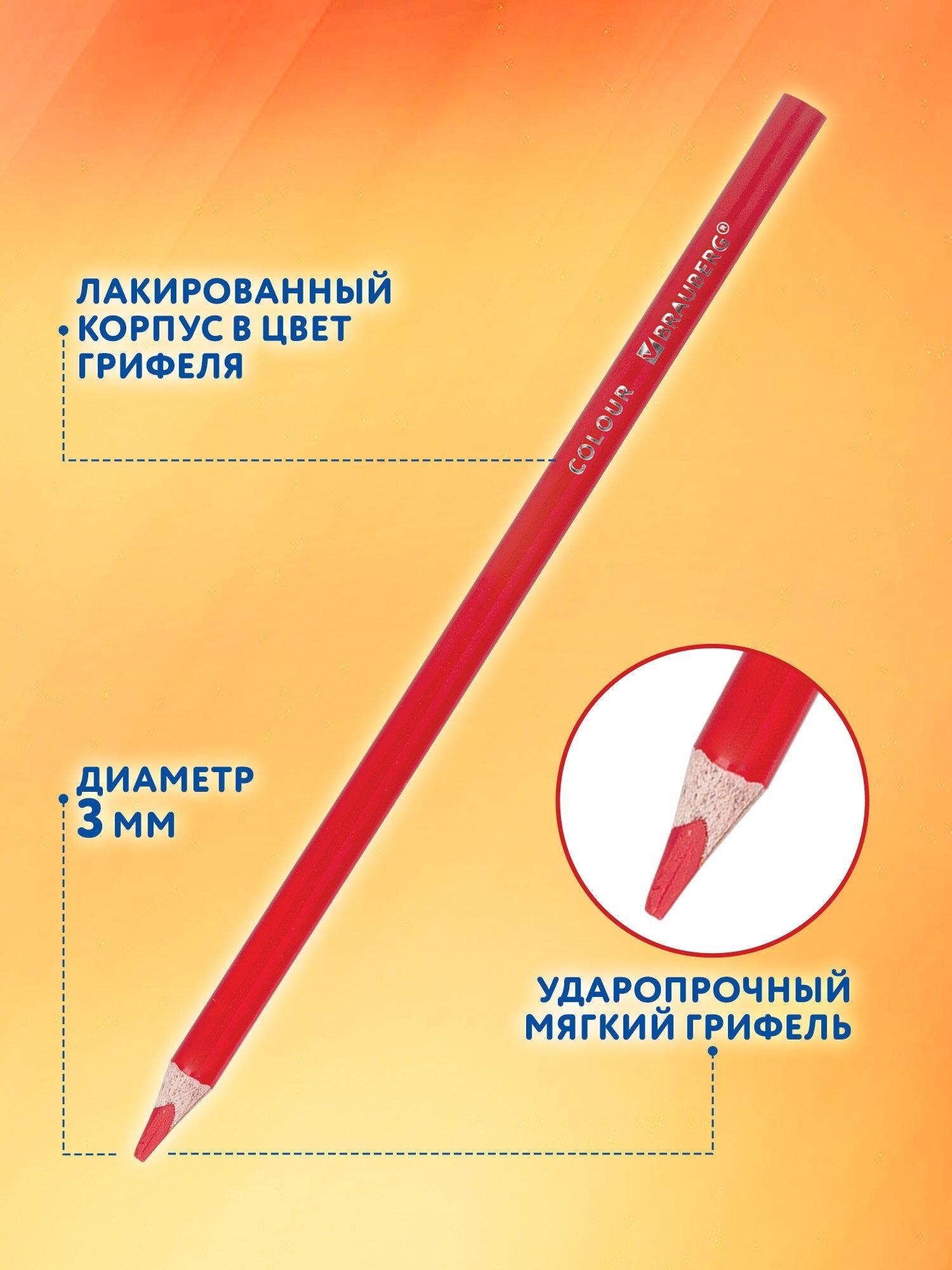 https://img.mvideo.ru/Big/e296e6ac-8f9e-4fc7-b39e-4a0efe9bc47d.jpg