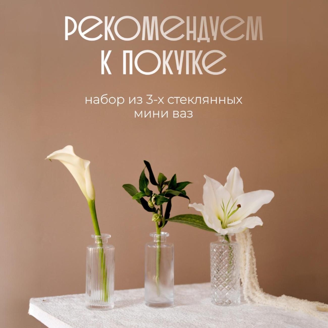 https://img.mvideo.ru/Big/e3f6eb91-b5a4-47fb-8d00-f974e02663d3.jpg