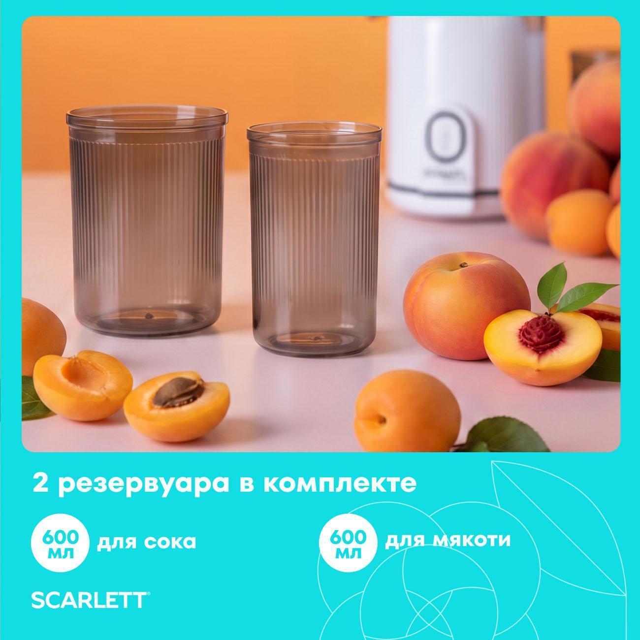 https://img.mvideo.ru/Big/e56ae8c0-b67f-458e-9fc5-e31314c0de44.jpg