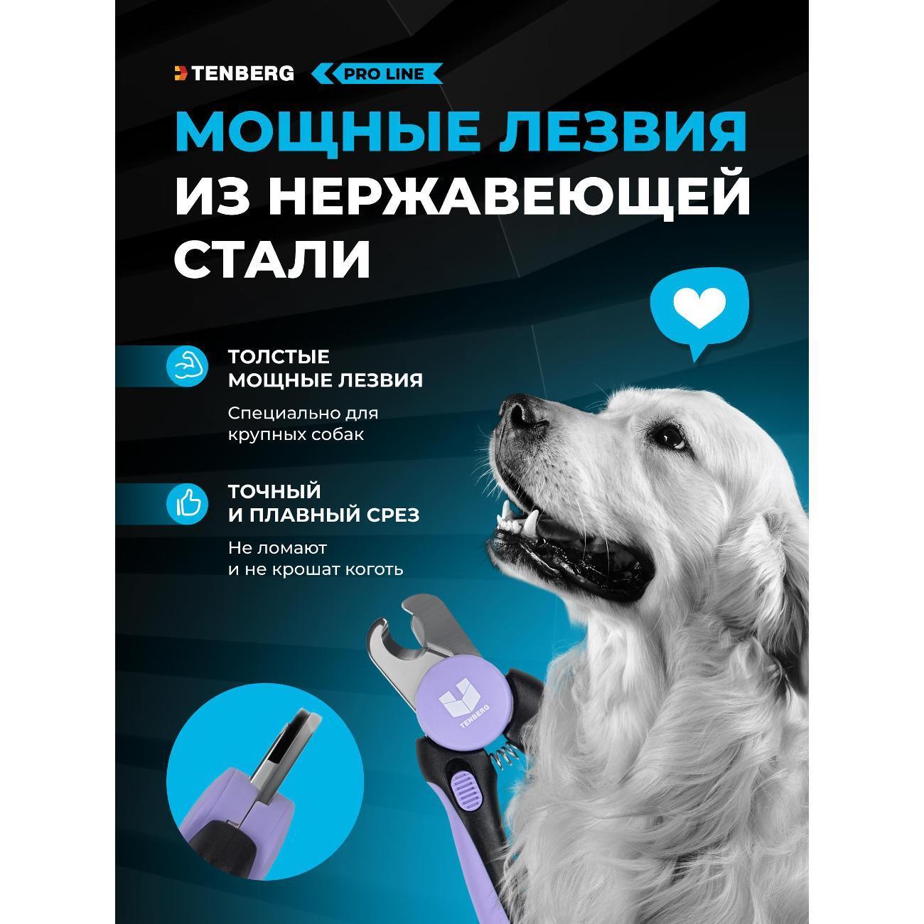 https://img.mvideo.ru/Big/e56dead4-d69c-4d8e-b054-7d728ee77315.jpg