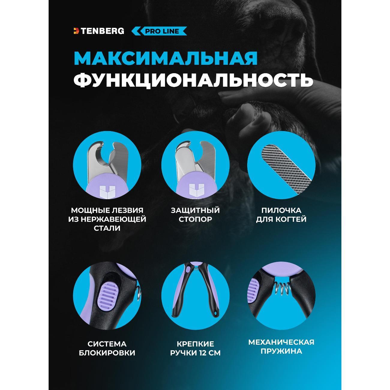 https://img.mvideo.ru/Big/ed39a691-15f7-4c9c-8e9d-8591df4761a6.jpg