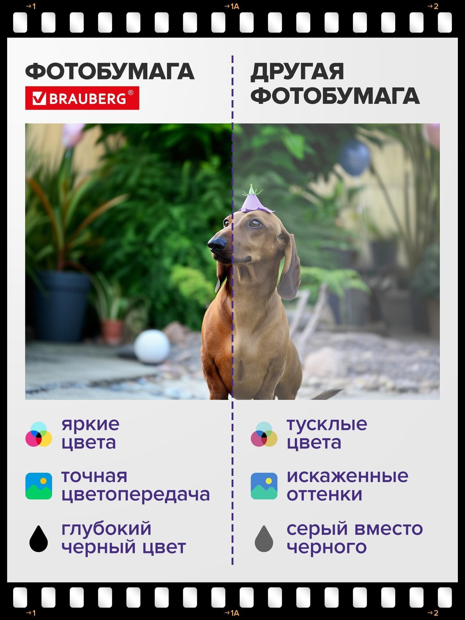 https://img.mvideo.ru/Big/ee61053b-684a-4af8-ae8f-541ce6ceba57.jpg
