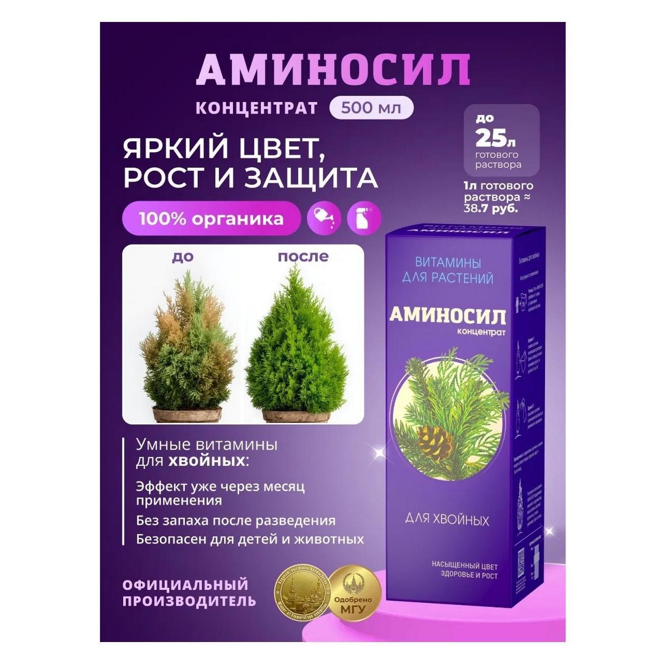 https://img.mvideo.ru/Big/f74595a4-5985-4c6d-a83c-d8e634720864.jpg