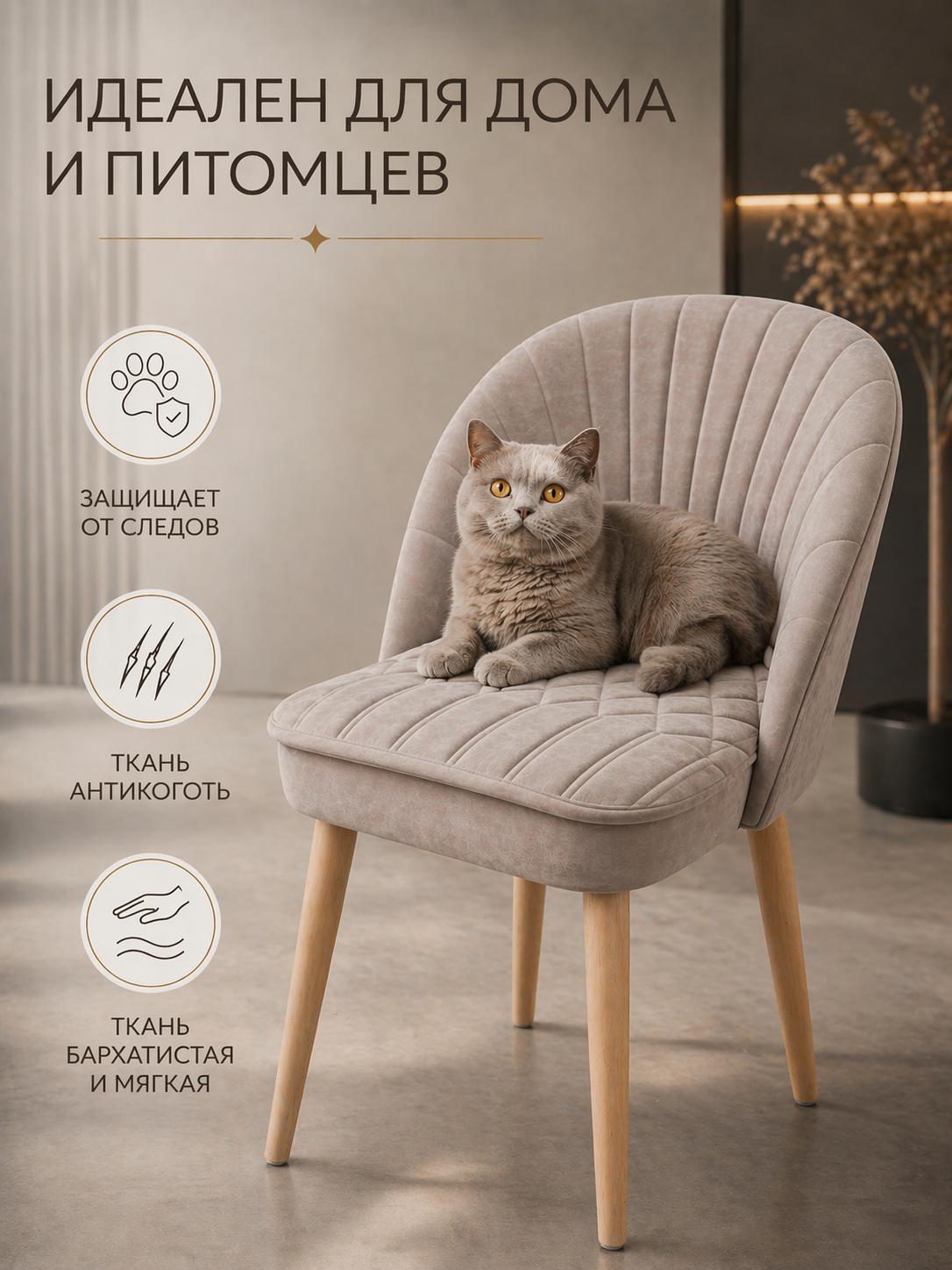 https://img.mvideo.ru/Big/ff975b96-1328-4d1d-b609-14b07d06b31f.jpg