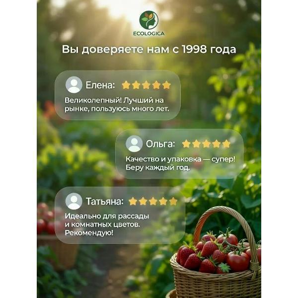 https://img.mvideo.ru/Pdb/2c8ba3fa-b3b9-4dce-a1e6-1739a2048a3e.jpg