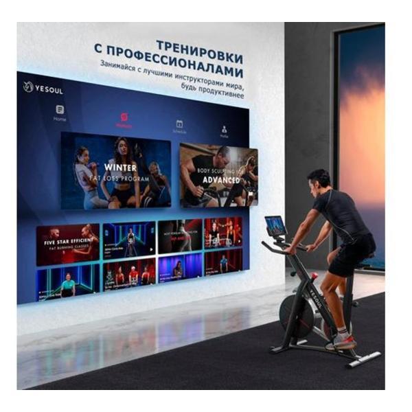 https://img.mvideo.ru/Pdb/400159702b4.jpg