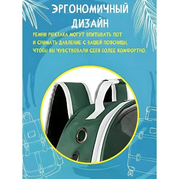 https://img.mvideo.ru/Pdb/400161754b3.jpg