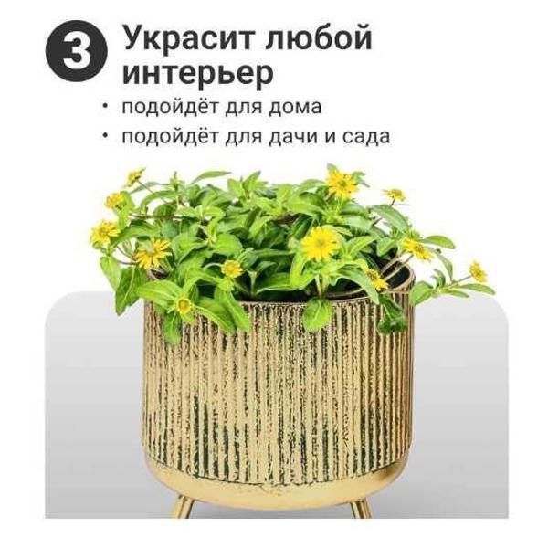 https://img.mvideo.ru/Pdb/400238766b3.jpg