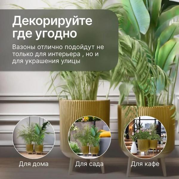 https://img.mvideo.ru/Pdb/400239500b4.jpg
