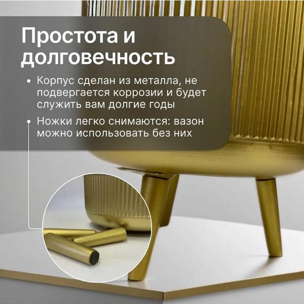 https://img.mvideo.ru/Pdb/400239500b6.jpg
