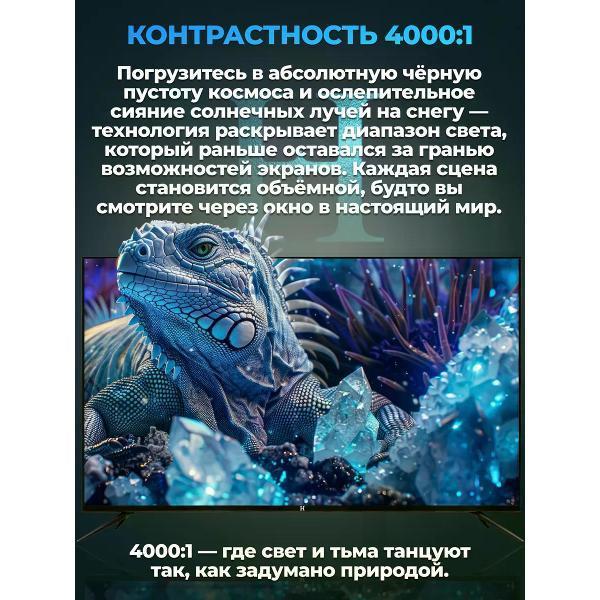 https://img.mvideo.ru/Pdb/400308838b8.jpg