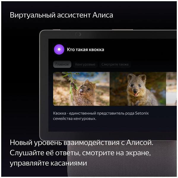 https://img.mvideo.ru/Pdb/400465774b5.jpg