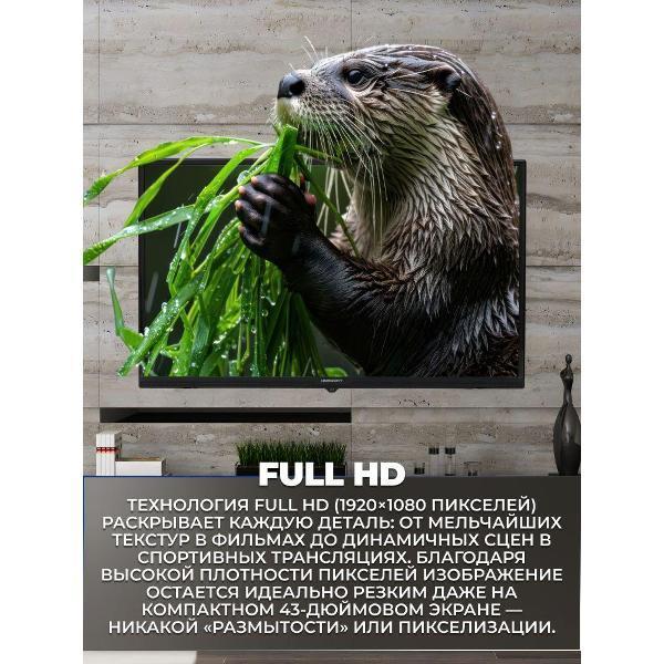 https://img.mvideo.ru/Pdb/400466359b2.jpg