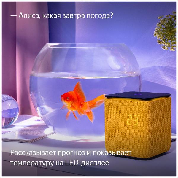 https://img.mvideo.ru/Pdb/400466486b6.jpg
