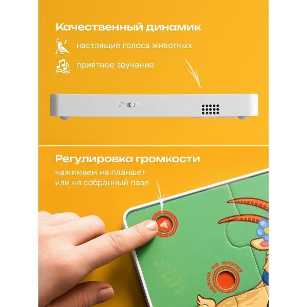 https://img.mvideo.ru/Pdb/400476337b9.jpg