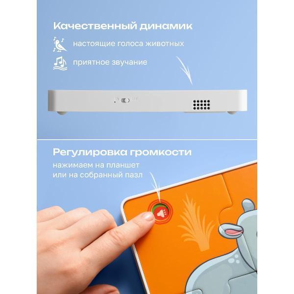 https://img.mvideo.ru/Pdb/400476339b9.jpg