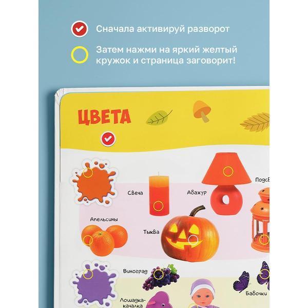 https://img.mvideo.ru/Pdb/400476498b3.jpg