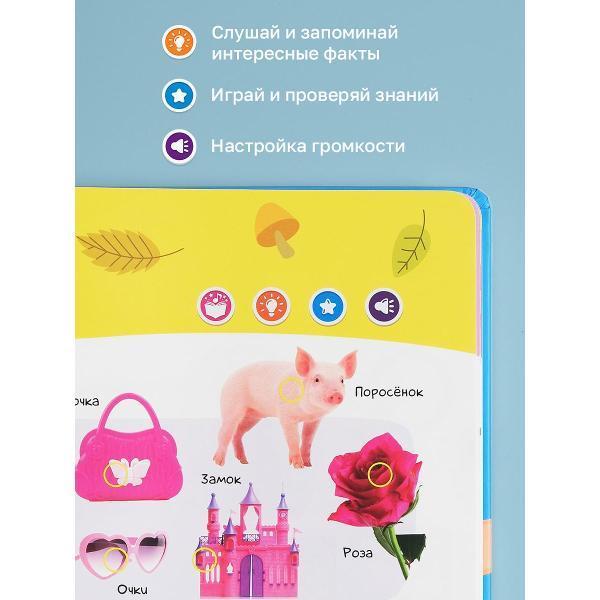 https://img.mvideo.ru/Pdb/400476498b5.jpg