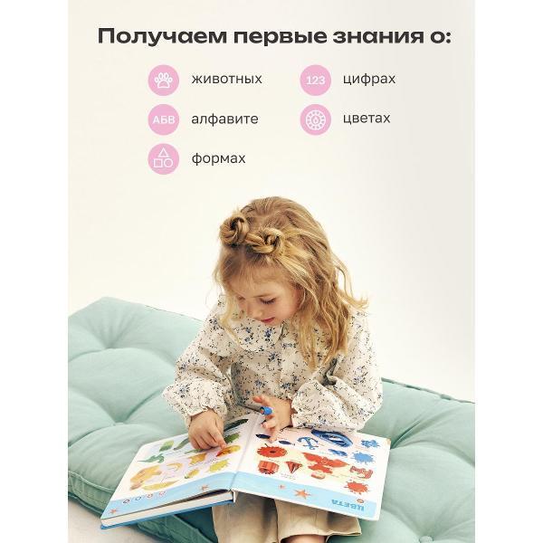 https://img.mvideo.ru/Pdb/400476498b9.jpg