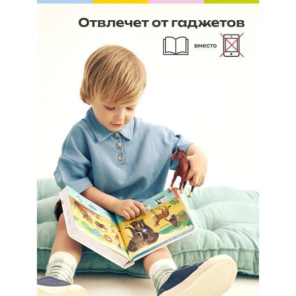 https://img.mvideo.ru/Pdb/400476499b10.jpg